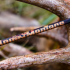 Custom Builds Custom Builds